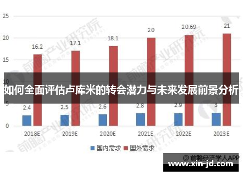 如何全面评估卢库米的转会潜力与未来发展前景分析