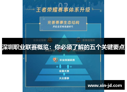 深圳职业联赛概览：你必须了解的五个关键要点