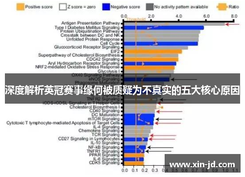 深度解析英冠赛事缘何被质疑为不真实的五大核心原因